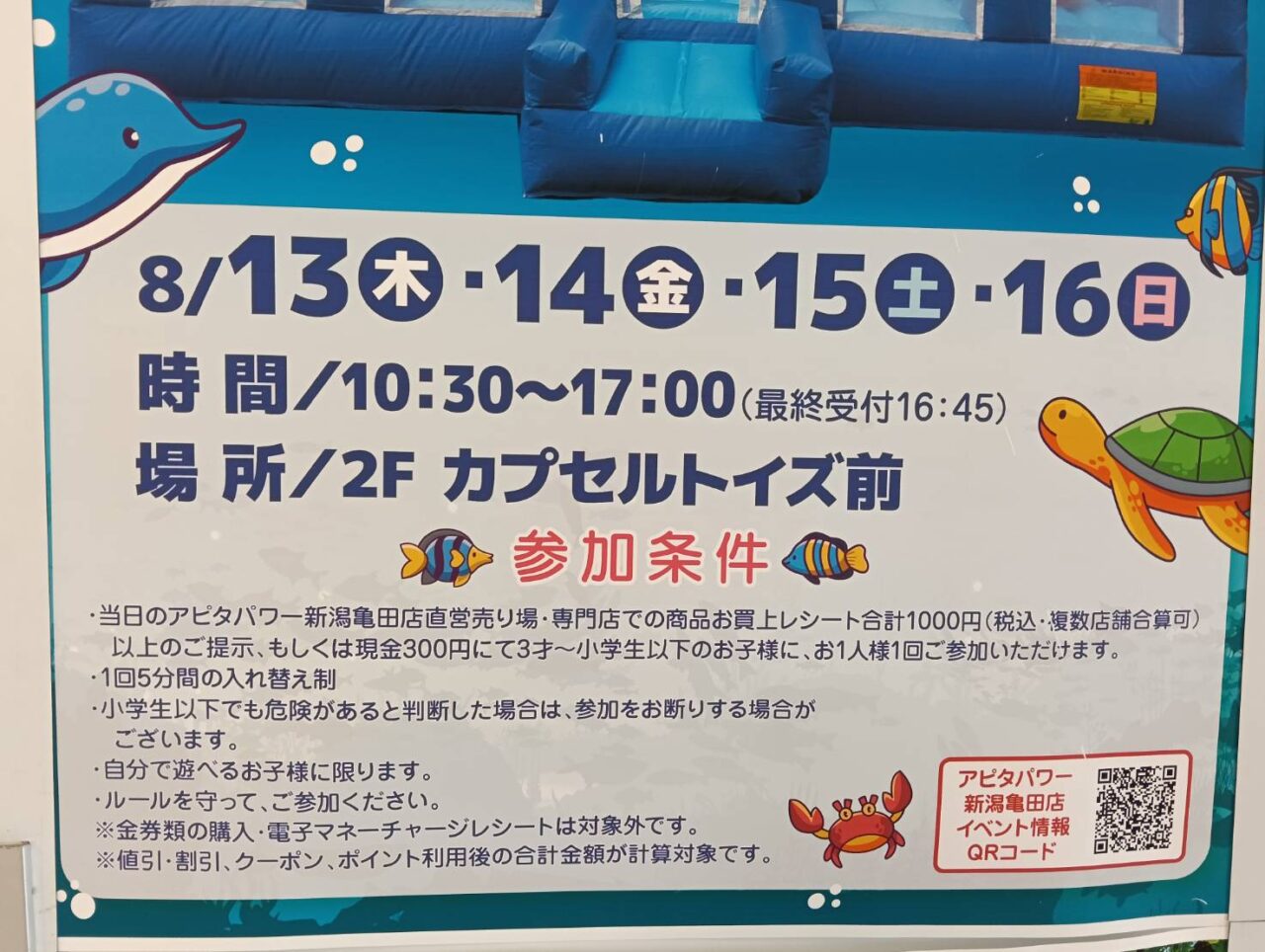 アピタ２６０８１３