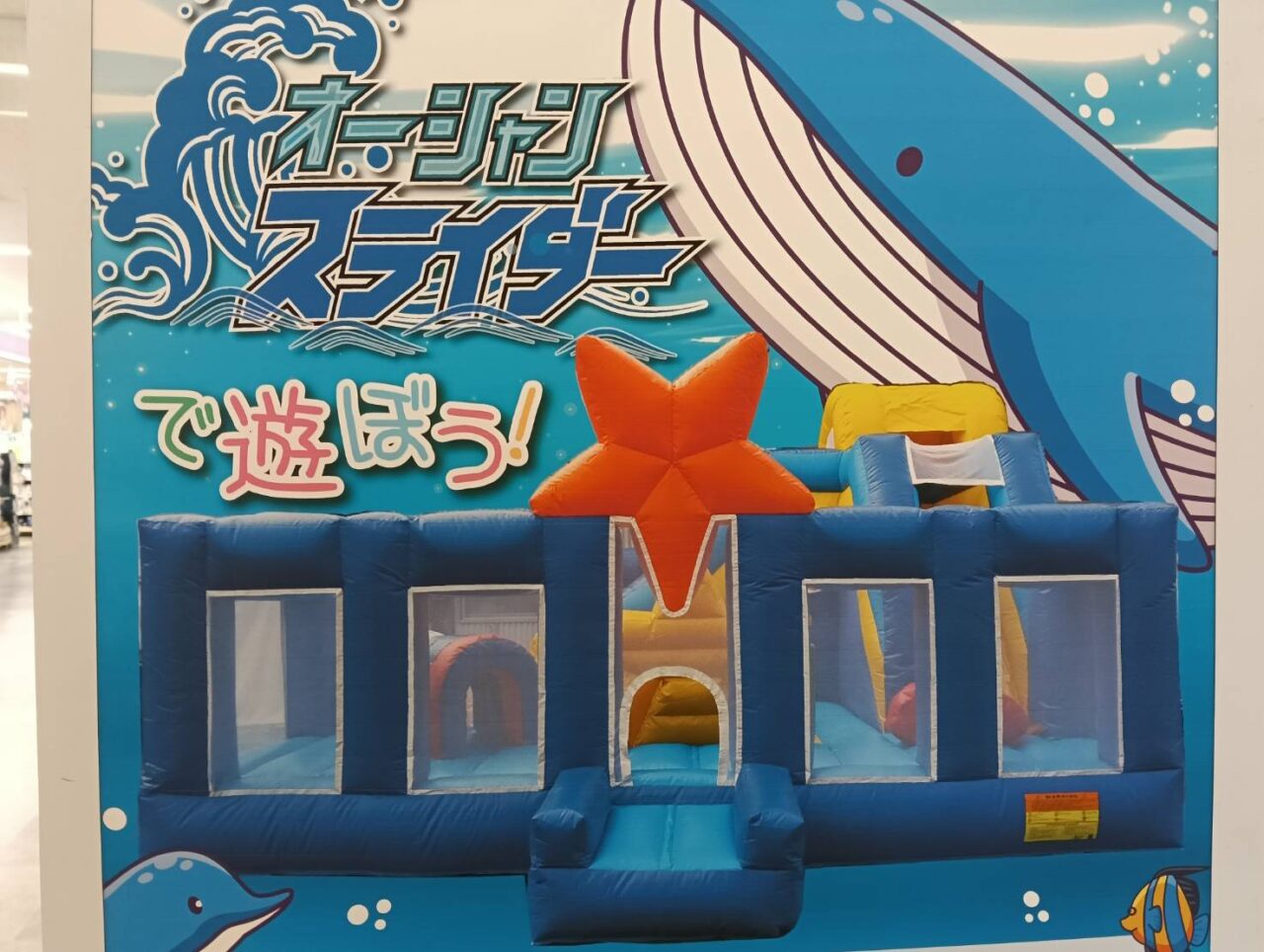 アピタ260829