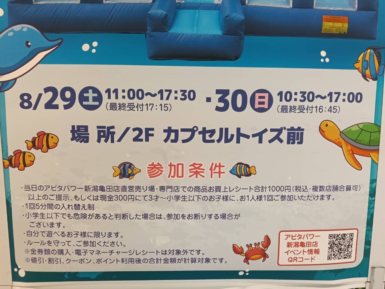 アピタ260829
