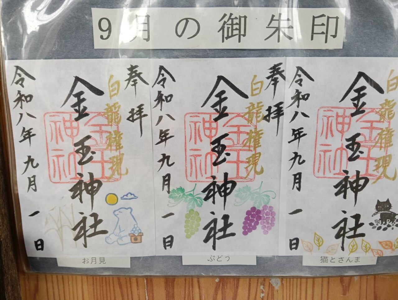 金玉２６０９