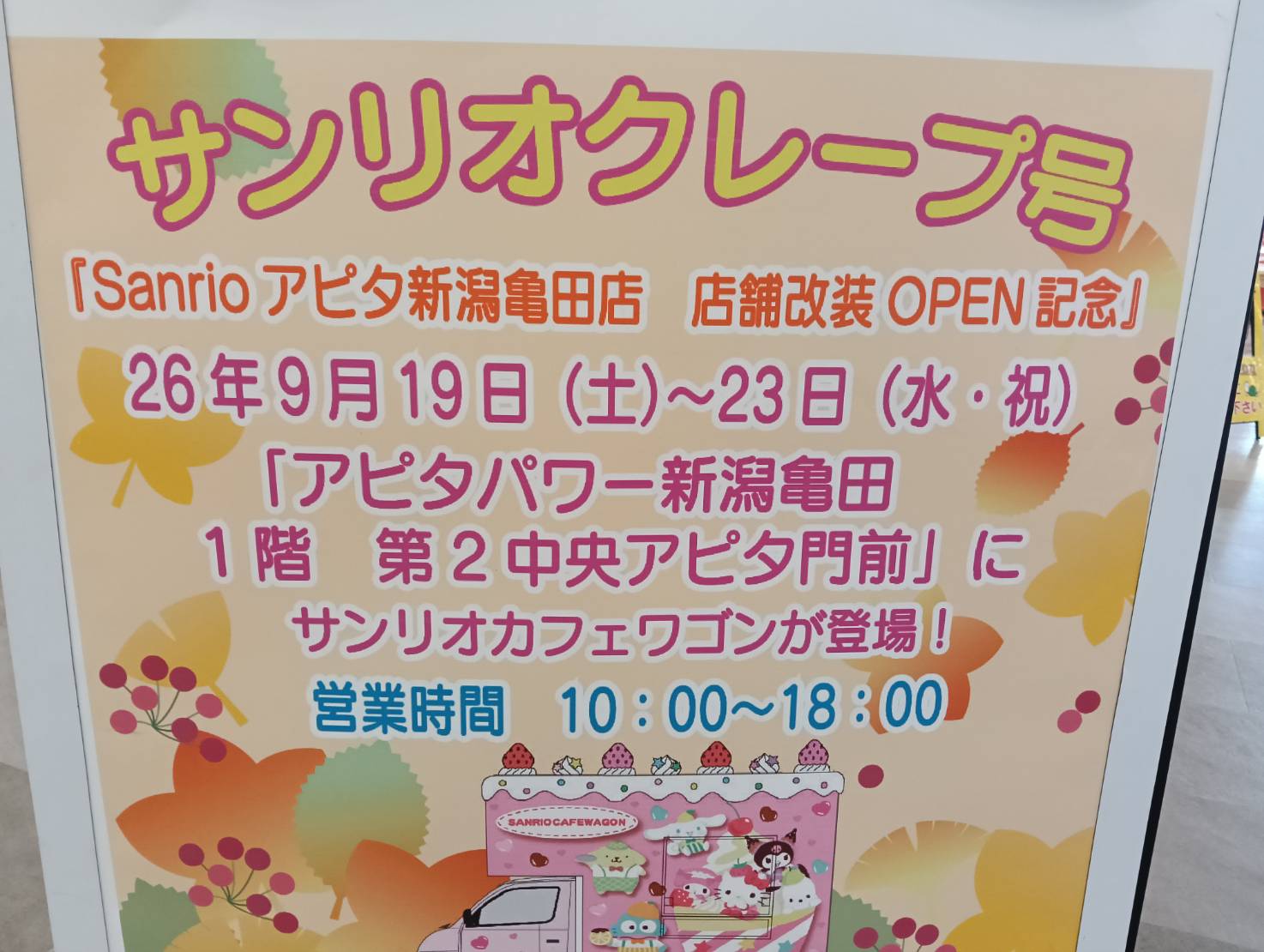 アピタシルバー1
