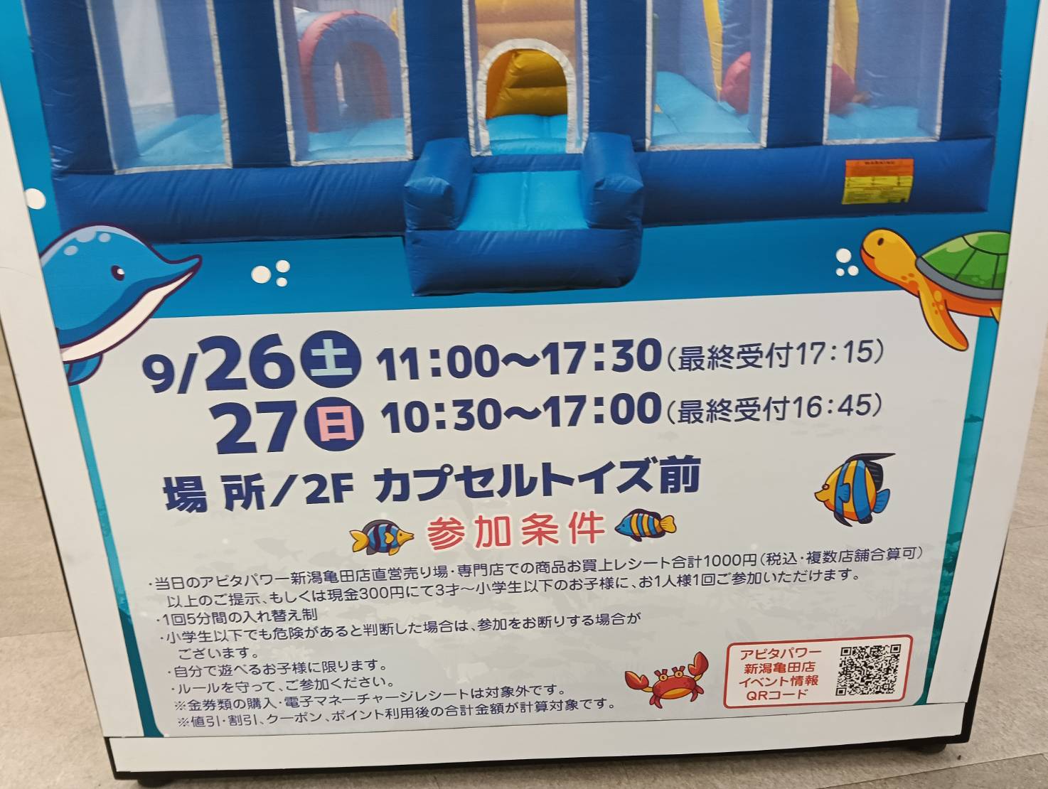 アピタ260927