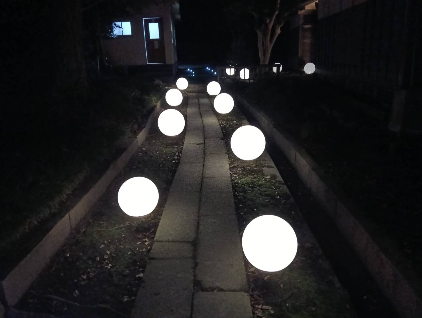 和のヒカリ26