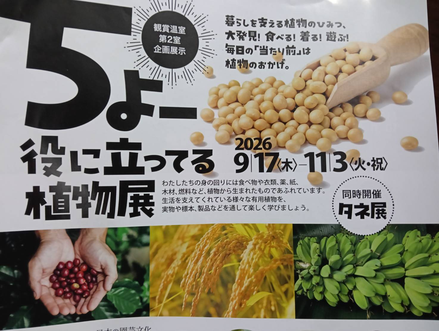 植物園２６１０