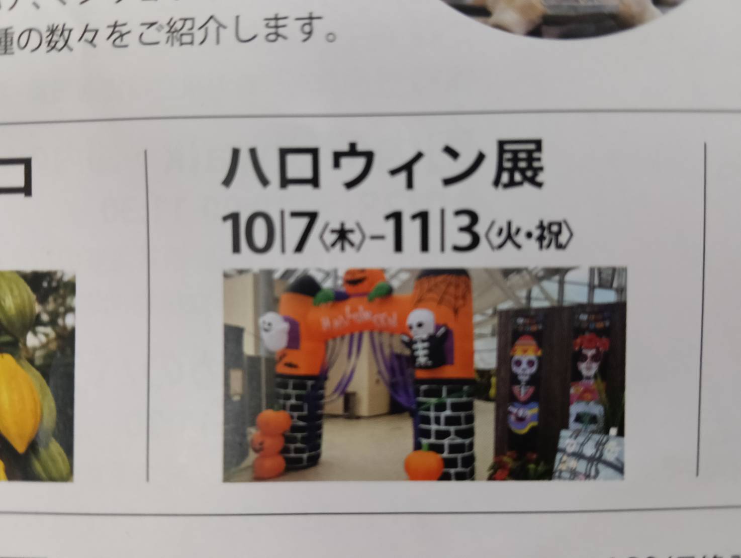 植物園２６１０