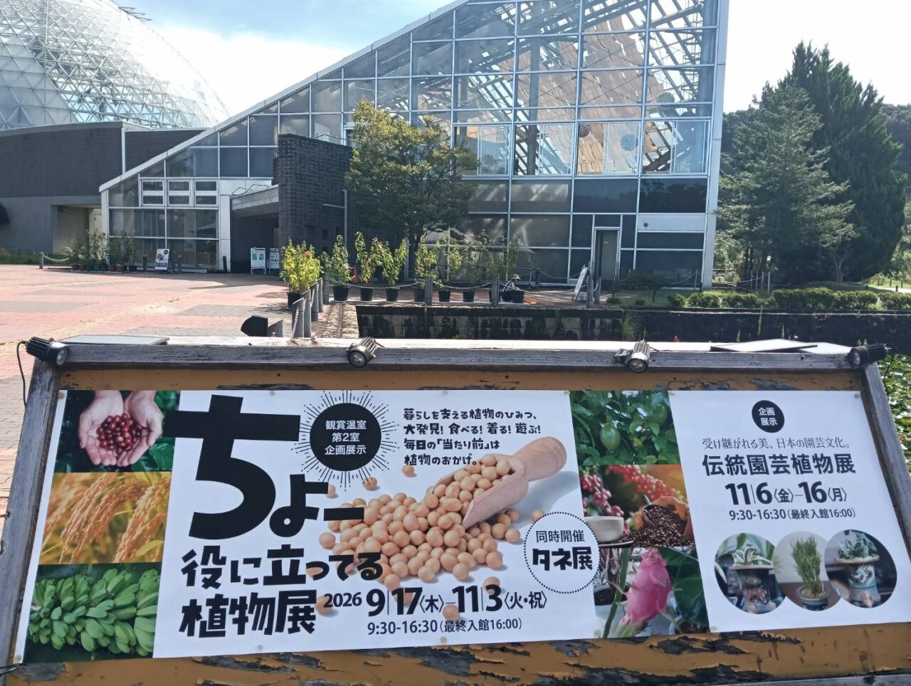 植物園２６１０