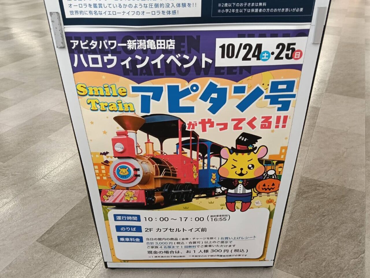 アピタ261025