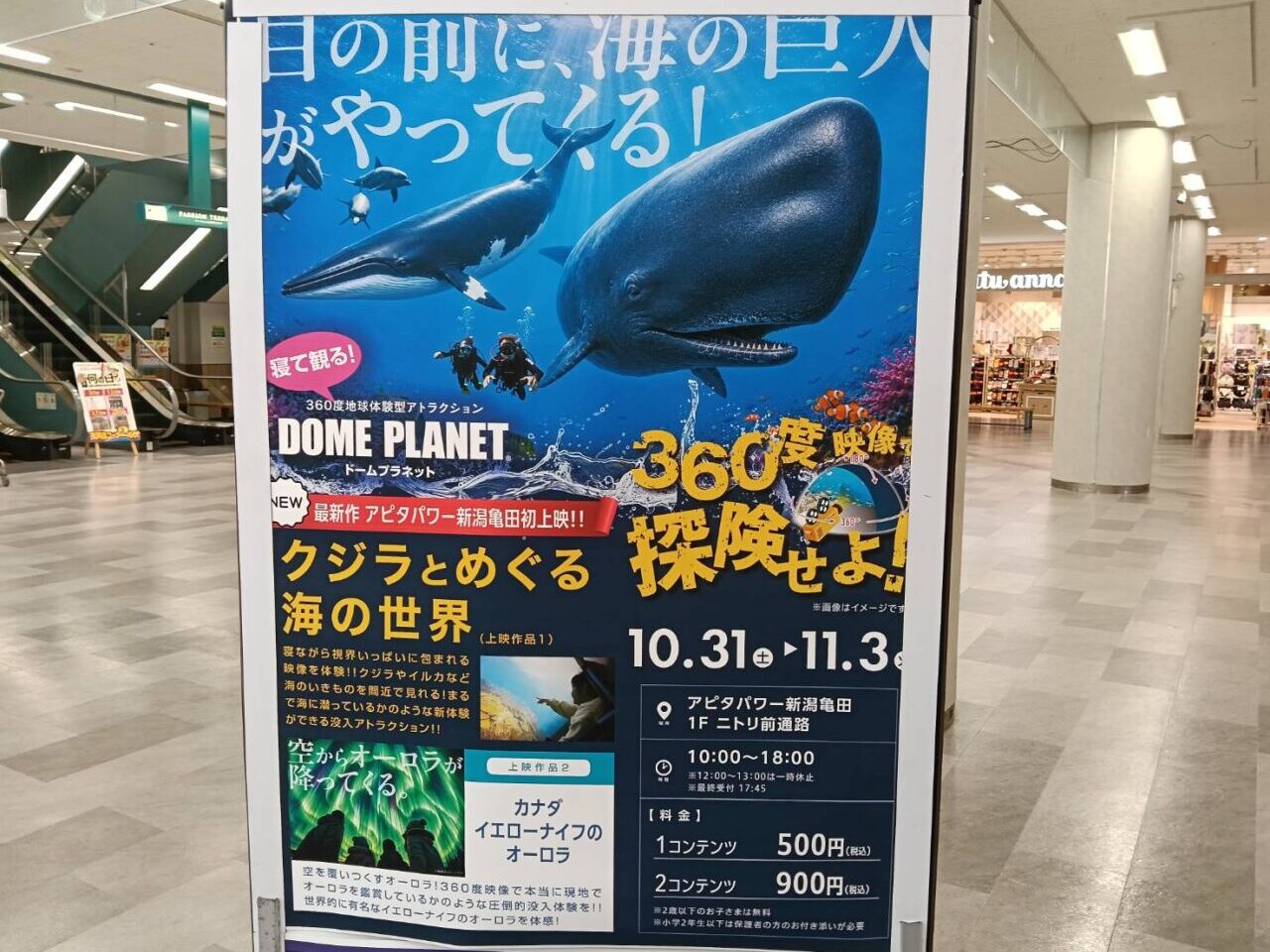 アピタ261030