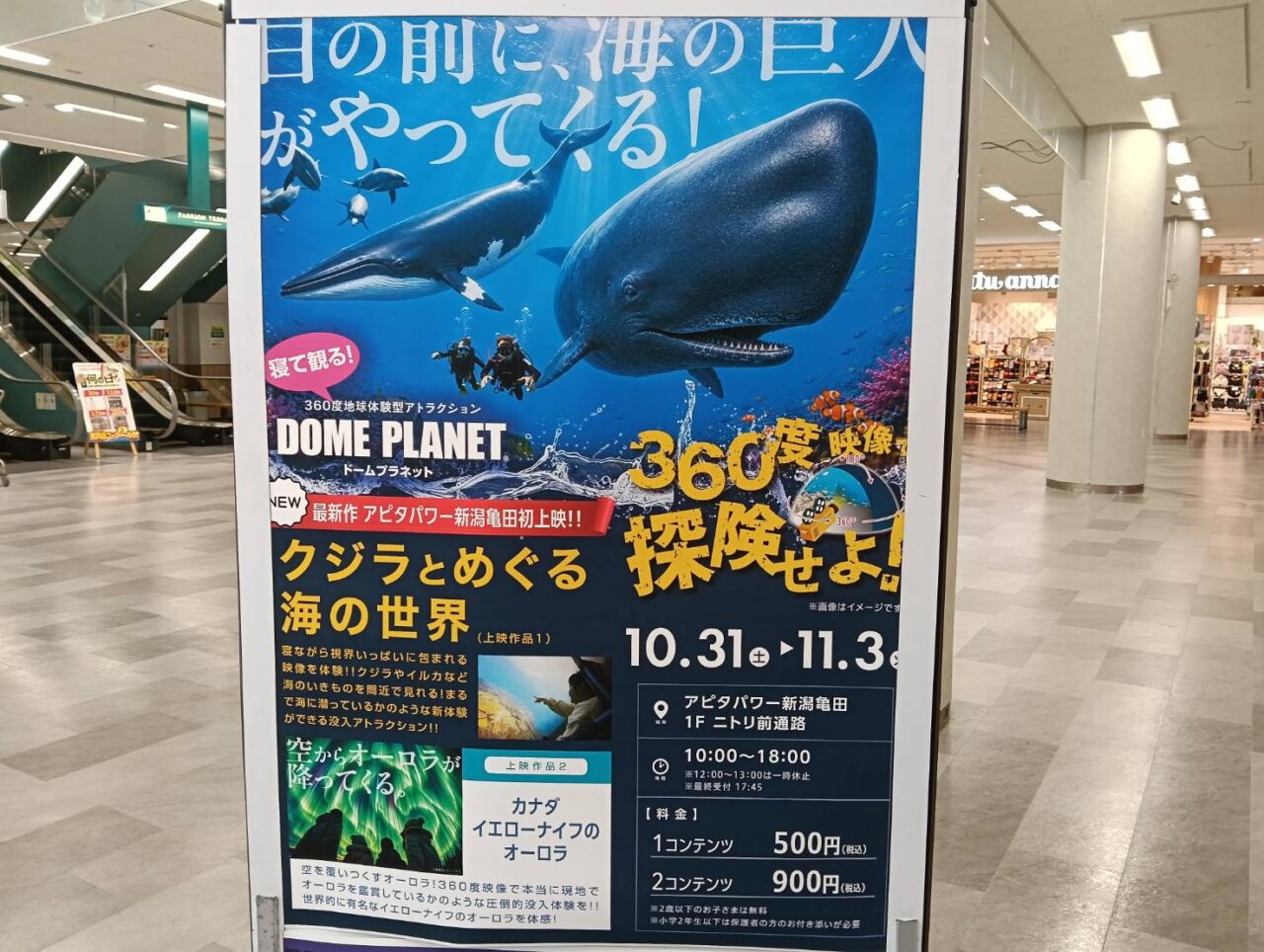 アピタ261030
