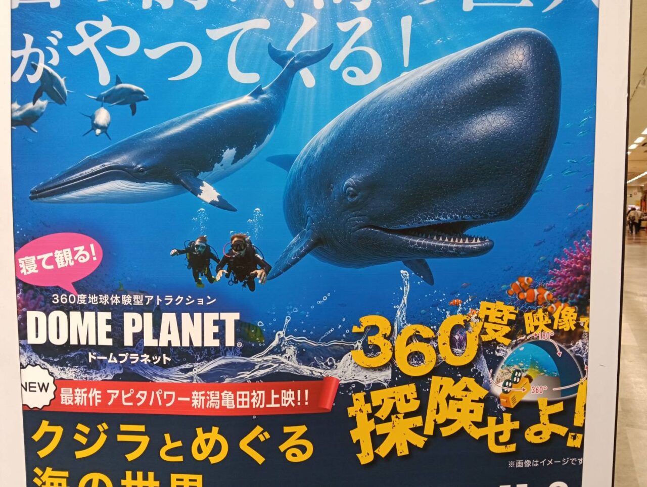 アピタ261030