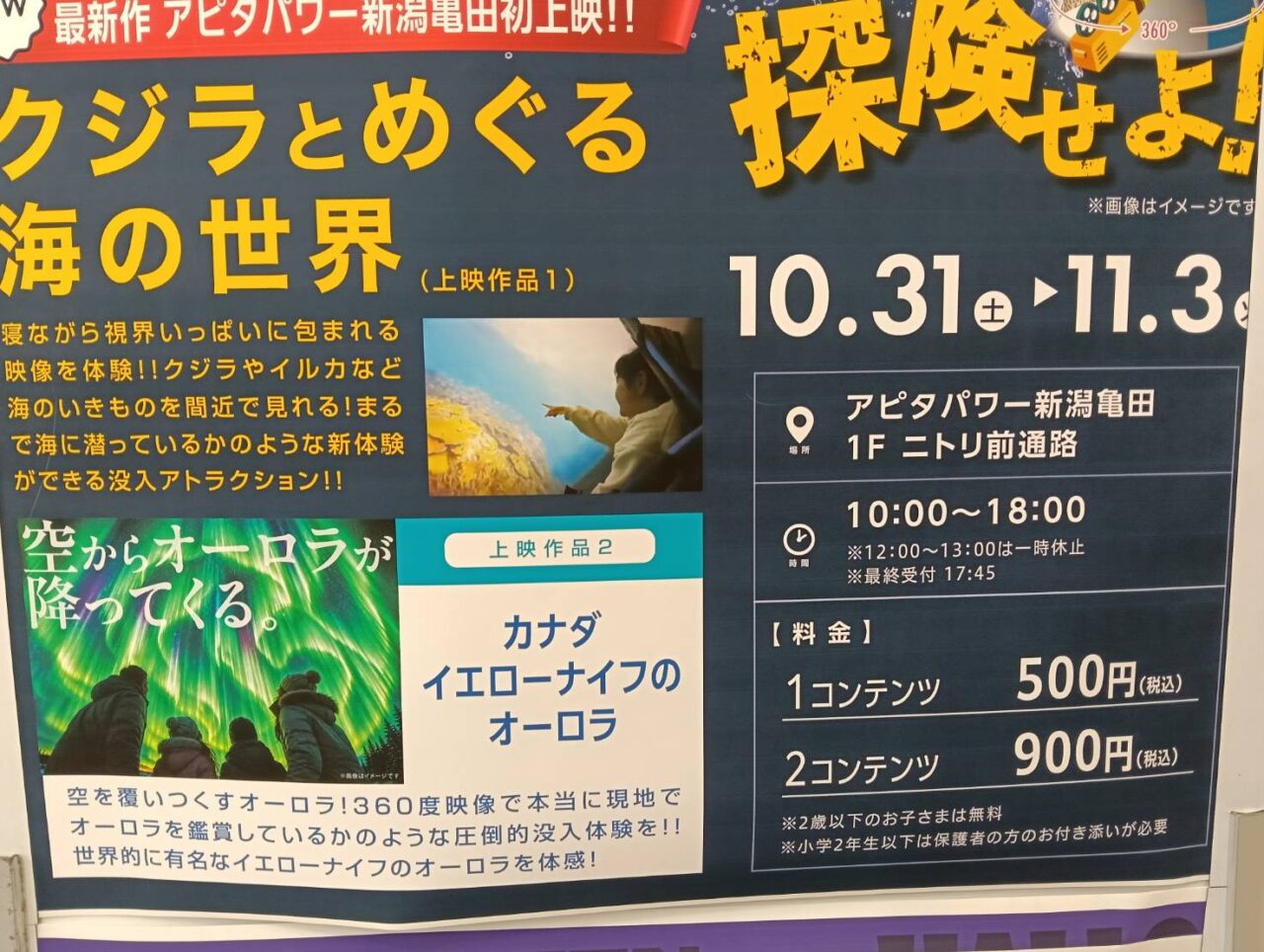 アピタ261030